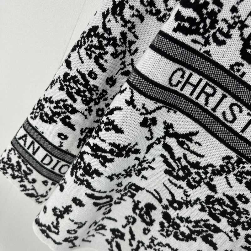 Christian Dior Hoodies